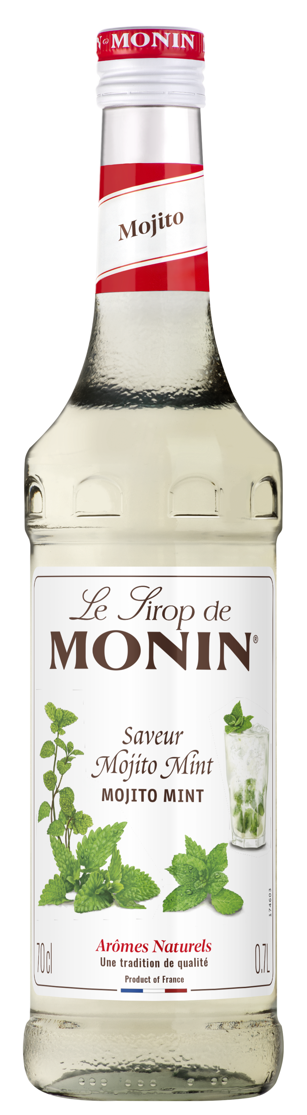 Sirop Saveur Mojito Mint 70cl