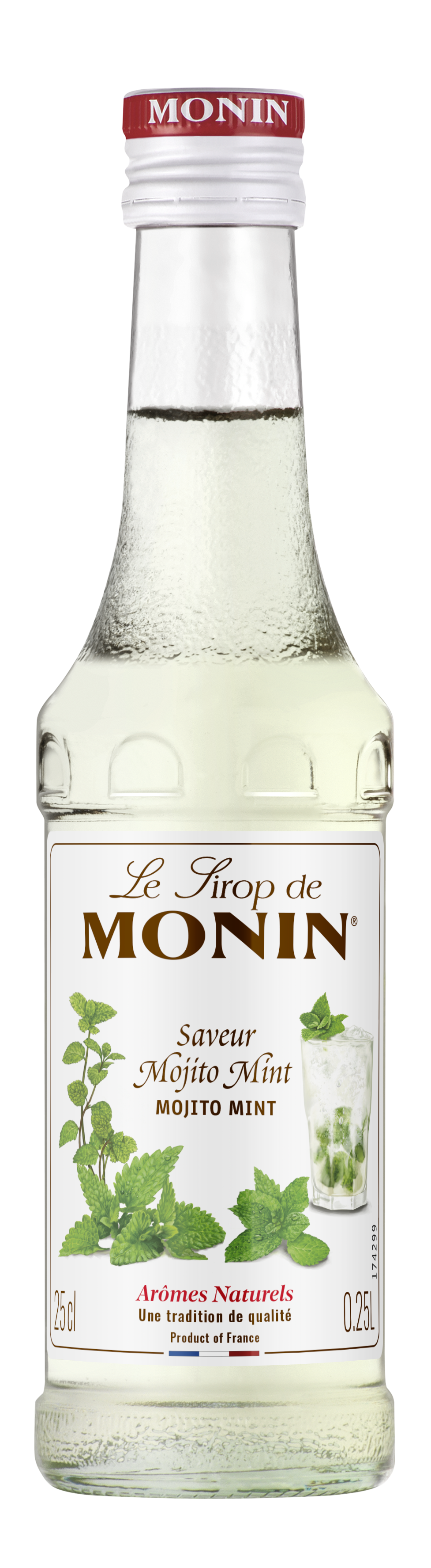 Sirop Saveur Mojito Mint 25cl