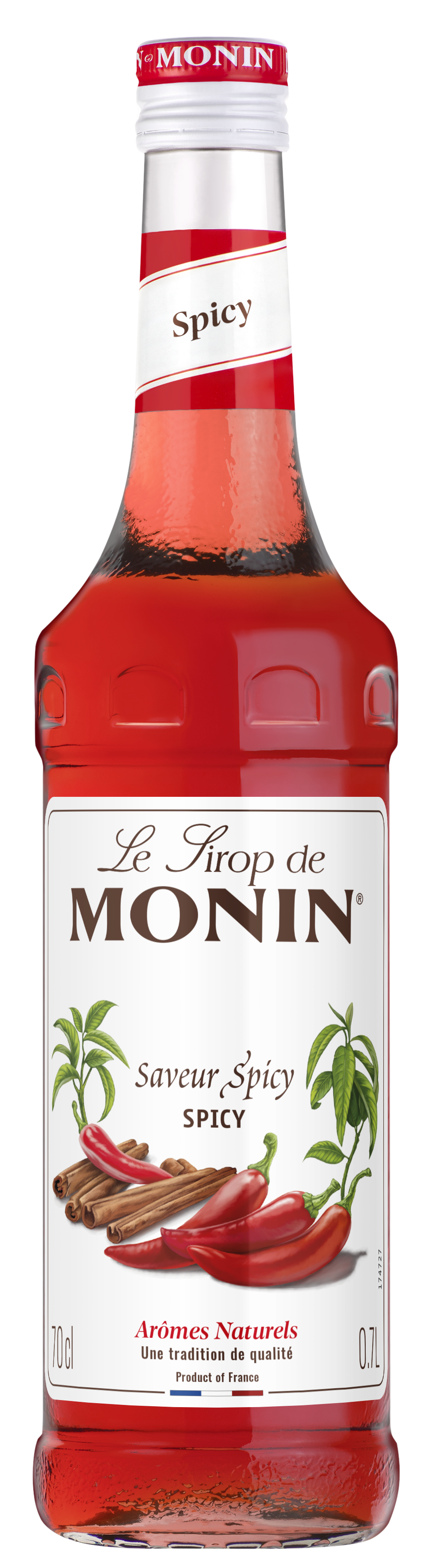 Sirop Saveur Spicy 70cl